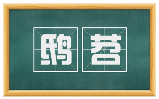 鸱苕