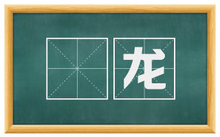 漦龙
