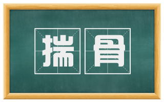 揣骨