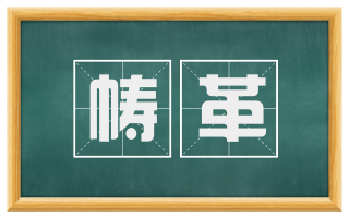 帱革