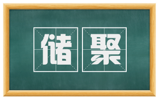 储聚