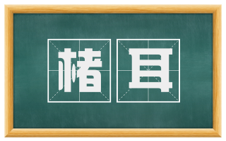 楮耳
