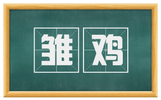 雏鸡
