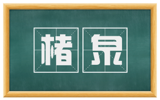 楮泉