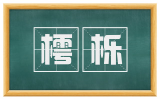 樗栎