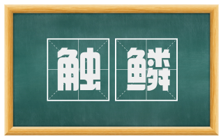 触鳞