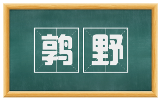 鹑野