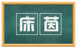 床茵