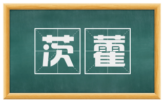茨藿