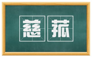 慈菰