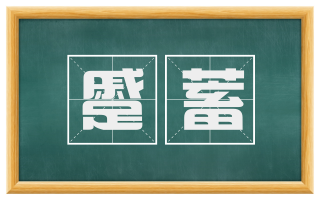 蹙蓄