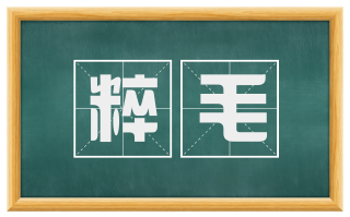 粹毛