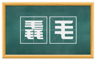 毳毛