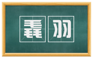 毳羽