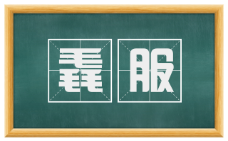 毳服
