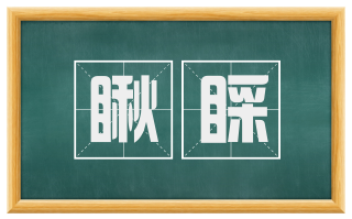 瞅睬