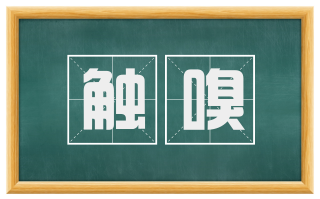 触嗅