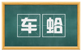 车蛤