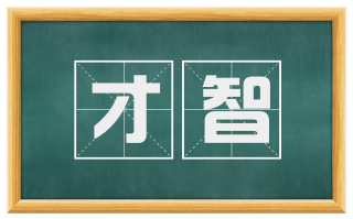才智
