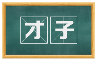 才子