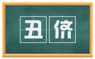 丑侪