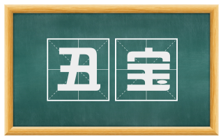 丑宝