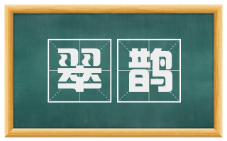 翠鹊