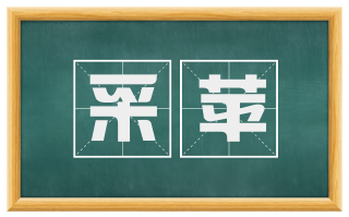 采苹