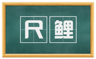 尺鲤