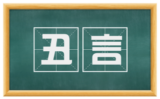 丑言