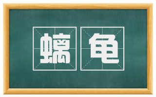 螭龟