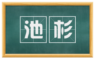 池杉
