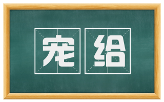 宠给