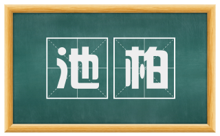 池柏