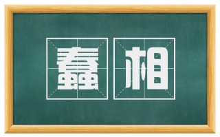 蠢相
