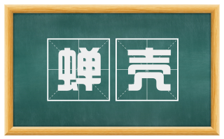 蝉壳