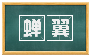 蝉翼