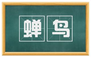 蝉鸟