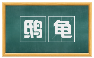 鸱龟