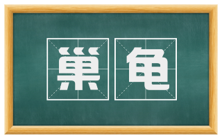 巢龟