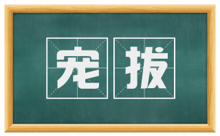 宠拔