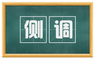 侧调
