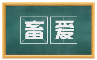 畜爱