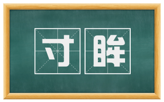 寸眸
