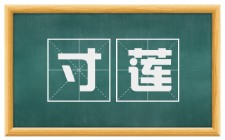 寸莲