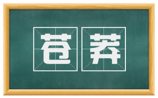 苍莽