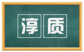 淳质