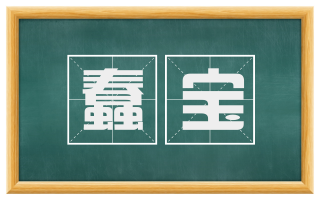 蠢宝
