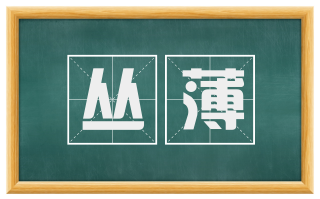 丛薄