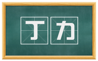 丁力